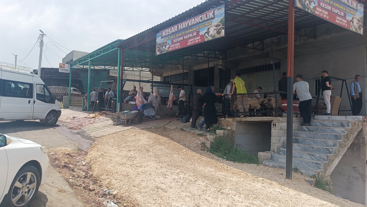 Kurban Bayramı’nın İkinci Gününde Şanlıurfa Hayvan Pazarlarında Yoğunluk Devam Ediyor