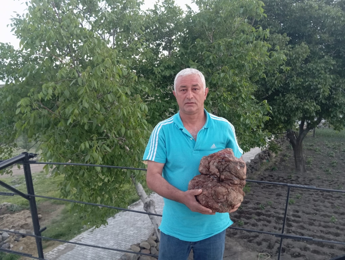 Kayseri'de Şaşkına Çeviren Keşif! 13 Yıldır Evde Saklanan Taşın Nadir Kehribar Olduğu Öne Sürüldü