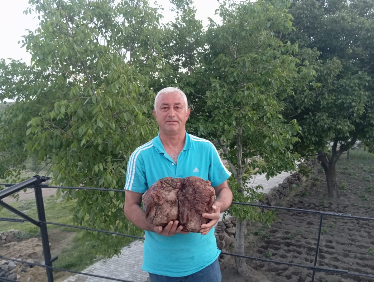 Kayseri'de Şaşkına Çeviren Keşif! 13 Yıldır Evde Saklanan Taşın Nadir Kehribar Olduğu Öne Sürüldü