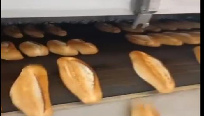 Halk Ekmek, Şanlıurfa Halkına Kaliteli ve Uygun Fiyatlı Ekmek Sunmaya Devam Ediyor