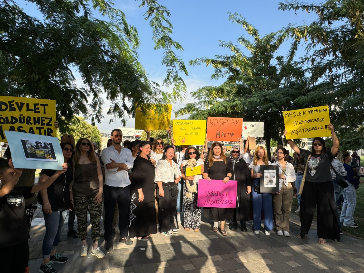 Şanlıurfa’da Kuduz Vakası: Sokak Hayvanlarına İlişkin Tepkiler Yükseliyor