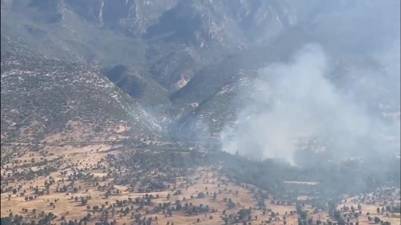 Terör Örgütü Pkk'dan Alçak Plan: Ormanları Yakarak Gizlenmeye Çalışıyorlar