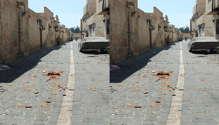 Şanlıurfa Eyyübiye’de Çevre Kirliliği: Belediyeyi Kötülemek İçin Bilinçli Bir Eylem mi?