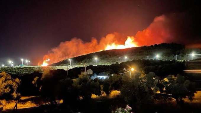 Avukat Mahmut Tanal’dan İktidara Eleştiri