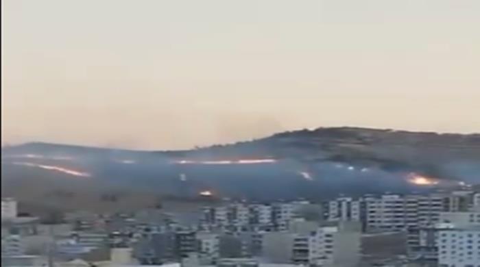 Şanlıurfa Eyyübiye İlçesindeki Ormanlık Alanda Yangın Çıktı