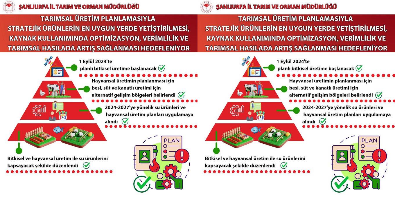 TMO Kuru Kayısı Alım Fiyatlarını Belirledi: Üreticilere Müjde