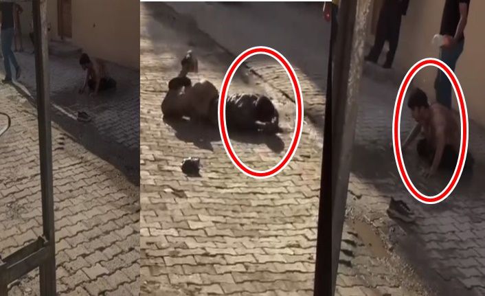 Haliliye’de Madde Bağımlısı Gençlerin Yürek Burkan Hali Kamerada