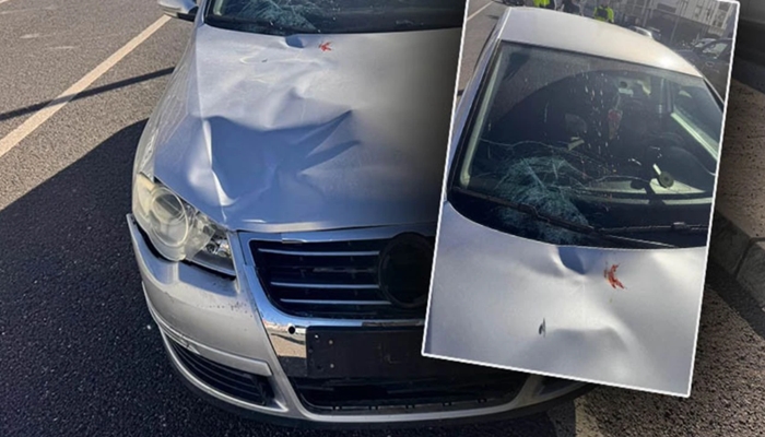 Karaköprü'de Feci Kaza: Otomobilin Çarptığı Kadın Hayatını Kaybetti