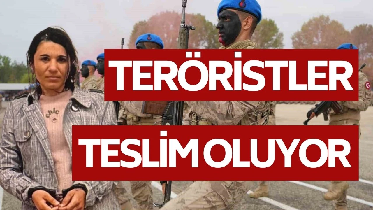 Te*rör Örgütünde Çözülme Süreci: Ter*öristler Teslim Oluyor