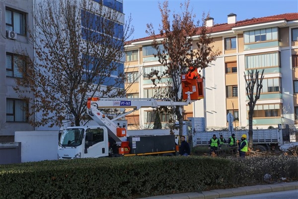 Eskişehir Büyükşehir'den ağaçlara kış bakımı