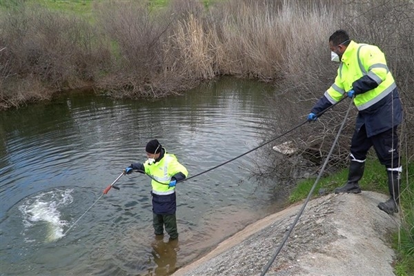İzmir'de sivrisineklere yönelik mücadele sürüyor