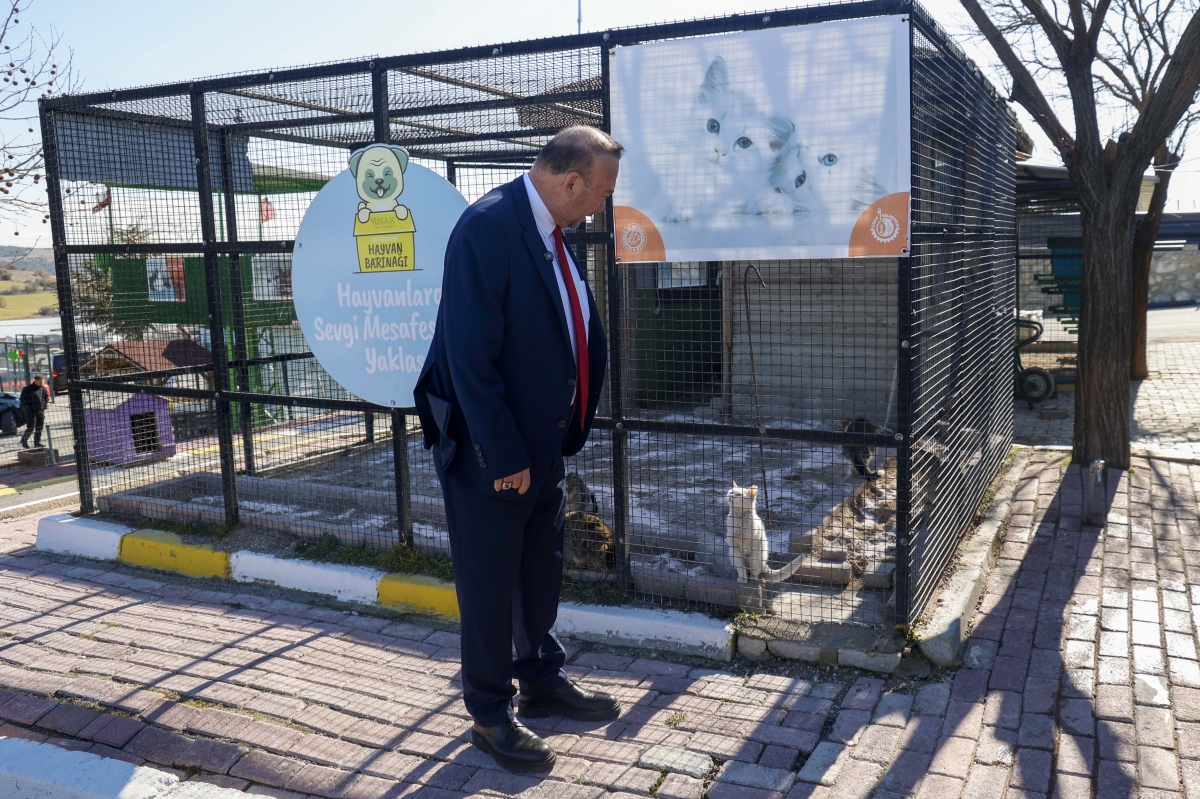 Başkan Yalım'dan sokak hayvanlarını sahiplendirme çağrısı