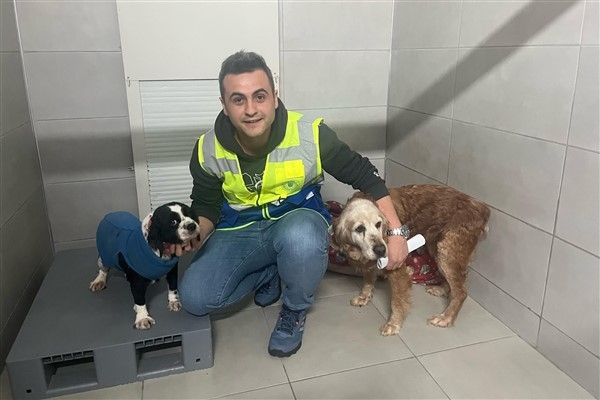 Bursa'da hayvan bakım ve rehabilitasyon merkezleri hizmetlerini sürdürüyor