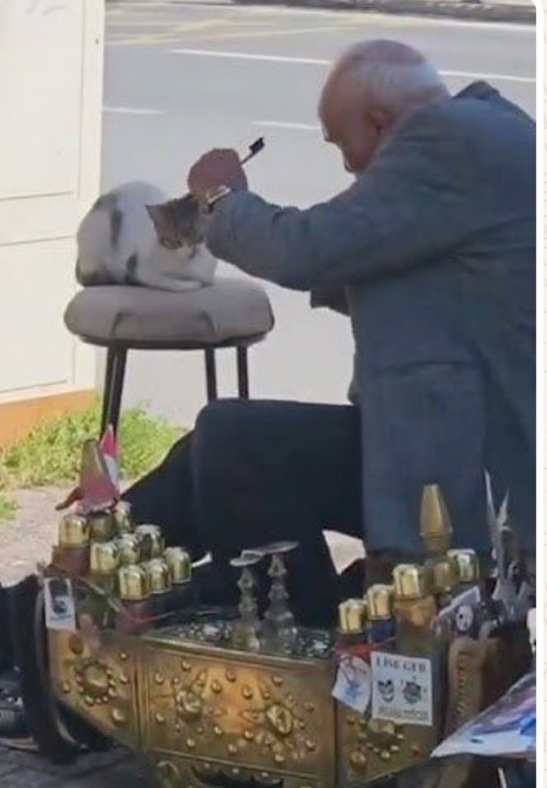 Taburesi boş, fırçaları elinde kaldı