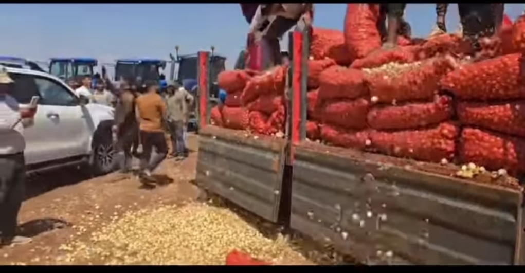 Hatay’da Soğan Üreticilerinden Fiyat Tepkisi