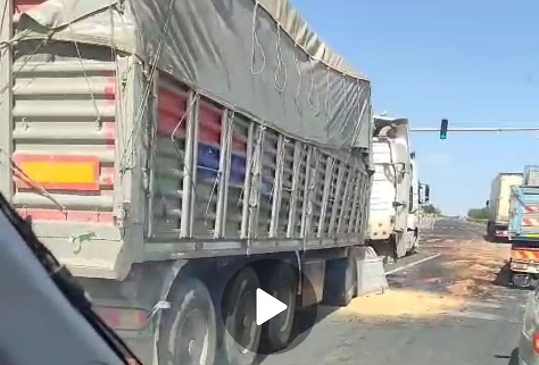 Buğday Yüklü Tır Devrildi, Yol Trafiğe Kapandı