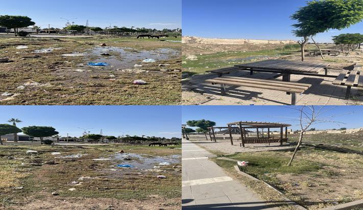 Harran’da Turizm ve Hizmet Alarm Veriyor: Medeniyetin Beşiği Sahipsiz Kaldı