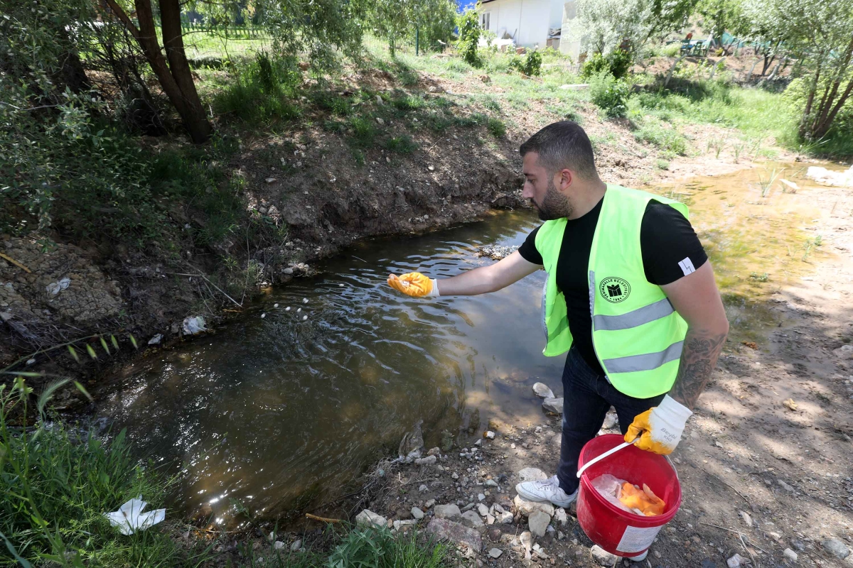 Yenimahalle’de larva mücadelesi başladı