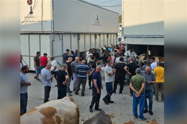 İzmir Büyükşehir Belediyesi'nden kurban kesim hizmeti