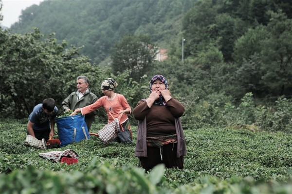 Giresun’da Islık Dili Koruma Eylem Planı Revizyonu Çalıştayı düzenleniyor