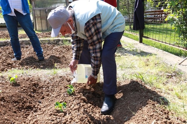 İBB’nin ‘Halk Bostanları’ projesi