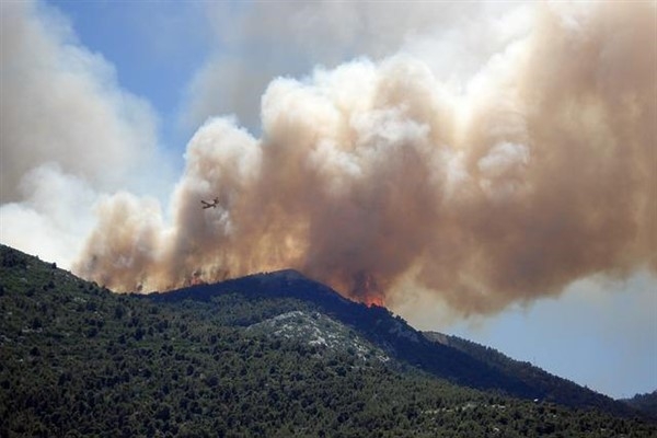 Manisa'da orman yangını