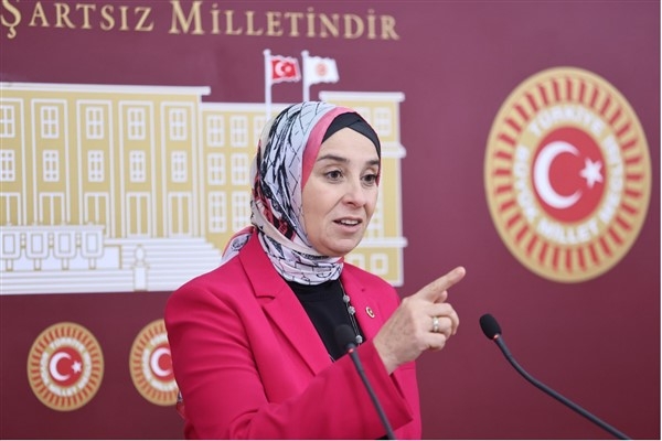 DEVA Partili Elif Esen: Bu teklif bir İklim Kanunu değil, piyasa metnidir