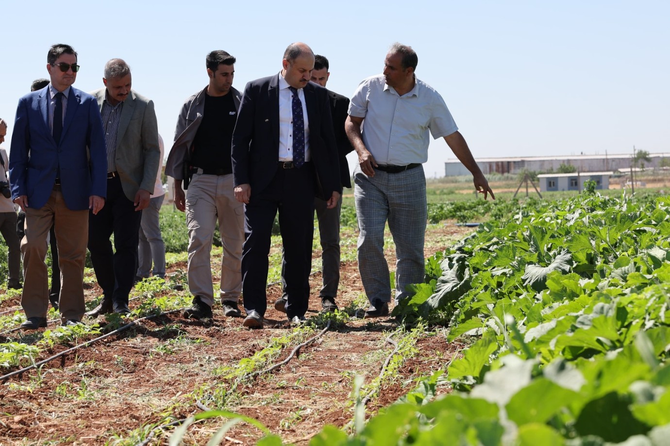 Şanlıurfa Büyükşehir Belediyesi, Ata Tohumuna Sahip Çıkıyor!