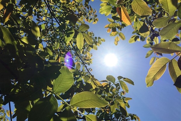 Hava sıcaklıkları mevsim normalleri civarına düşecek