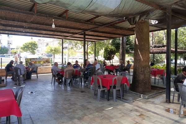 Muğla’da zeytin üreticilerine yönelik eğitimler sürüyor