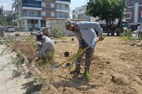 Gazipaşa Belediyesi'nden yeşillendirme çalışmaları