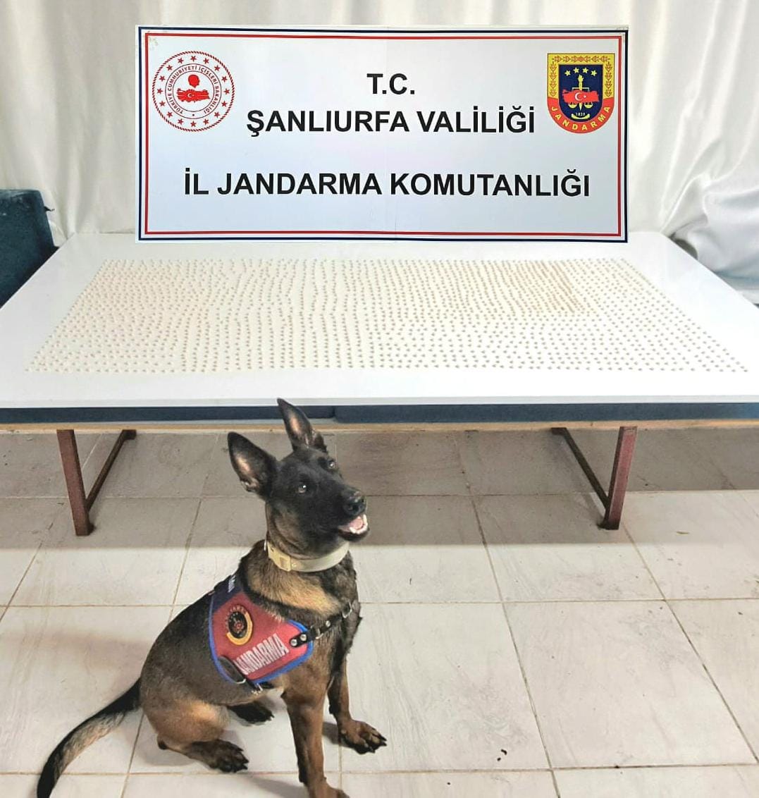 Şanlıurfa’da Jandarmadan Uyuşturucu Operasyonu: 2 Gözaltı