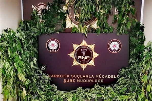 Rize’de uyuşturucu operasyonları