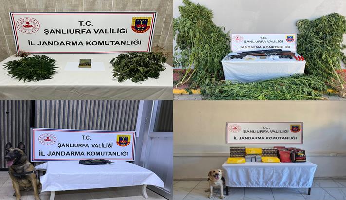Şanlıurfa’da Jandarmadan Narkotik Operasyonu: 6 Şüpheli Gözaltında