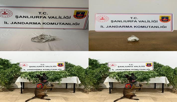 ŞANLIURFA’DA JANDARMADAN UYUŞTURUCU OPERASYONU: 12 GÖZALTI