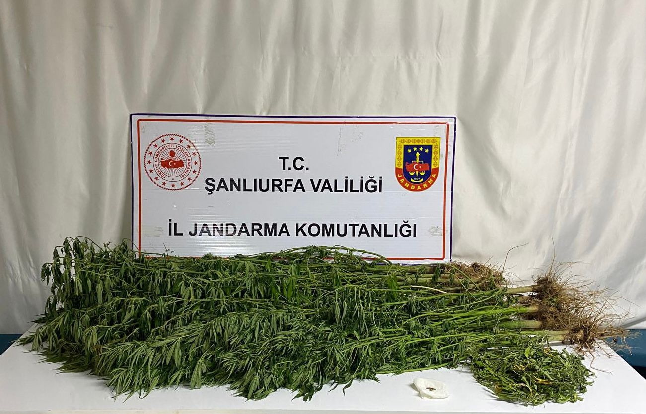 Şanlıurfa Jandarmasından Uyuşturucuya Ağır Darbe: 15 Şüpheli Gözaltında