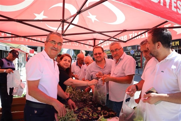 İzmit Belediyesi'nden vatandaşlara fide hediyesi