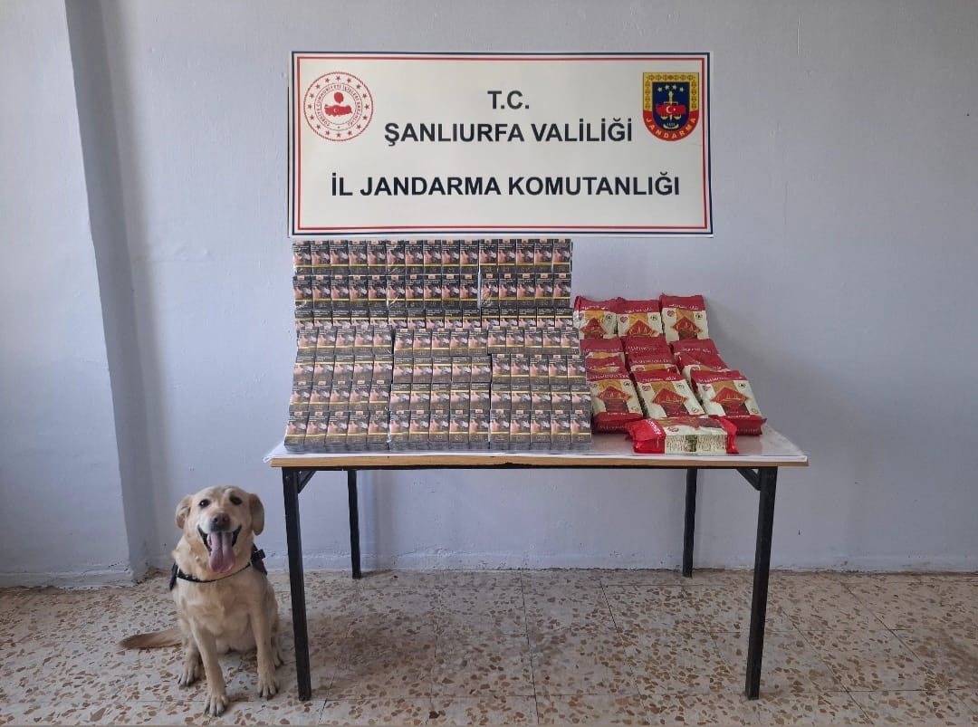 Şanlıurfa’da Kaçak Sigara, Nargile ve Çay Operasyonu: Büyük Miktarda Ürün Ele Geçirildi