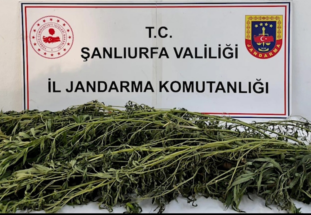 Şanlıurfa’da Jandarmadan Uyuşturucu Operasyonları