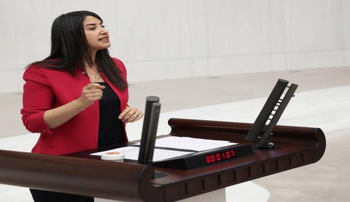 Urfa’daki Boğulma Vakaları TBMM Gündeminde