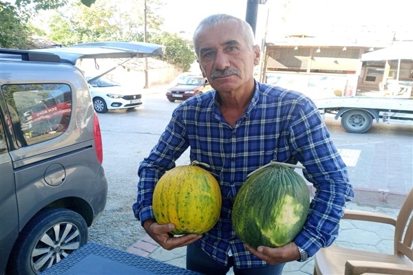 Ata tohumundan üretilen kara kavun dönüme 3 ton ürün veriyor