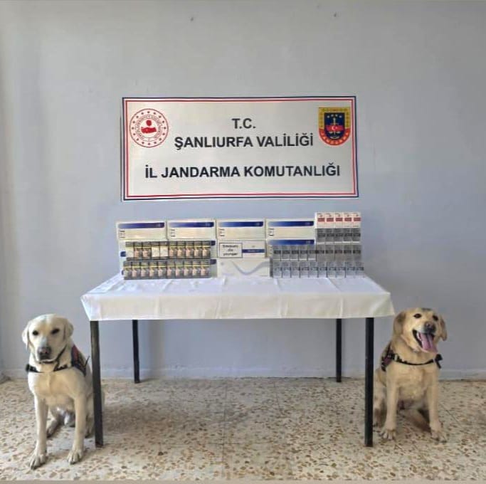 Viranşehir’de Kaçak Sigara Operasyonu: 1030 Paket Ele Geçirildi