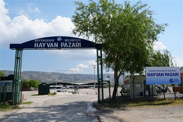 Eskişehir Büyükşehir Belediyesi Hayvan Pazarı geçici olarak kapatıldı