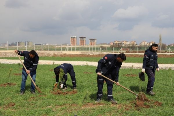 Eskişehir’de evlenen çiftler adına fidan dikiliyor