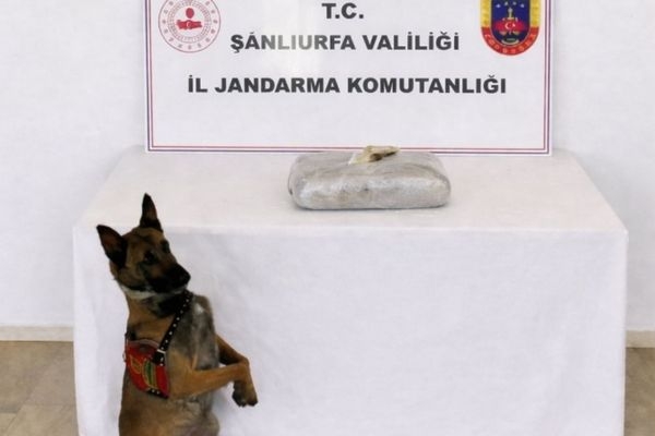 Birecik’te uyuşturucu operasyonu