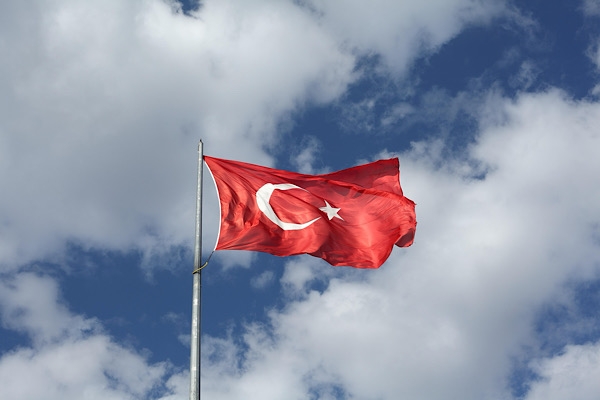 Siyasilerden Milli güreşçi Rıza Kayaalp için tebrik mesajı