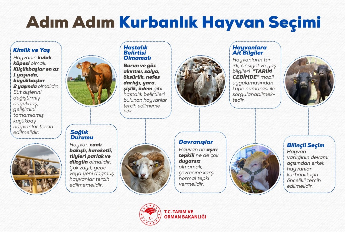 Kurbanlık Alacak Vatandaşlara Önemli Uyarılar