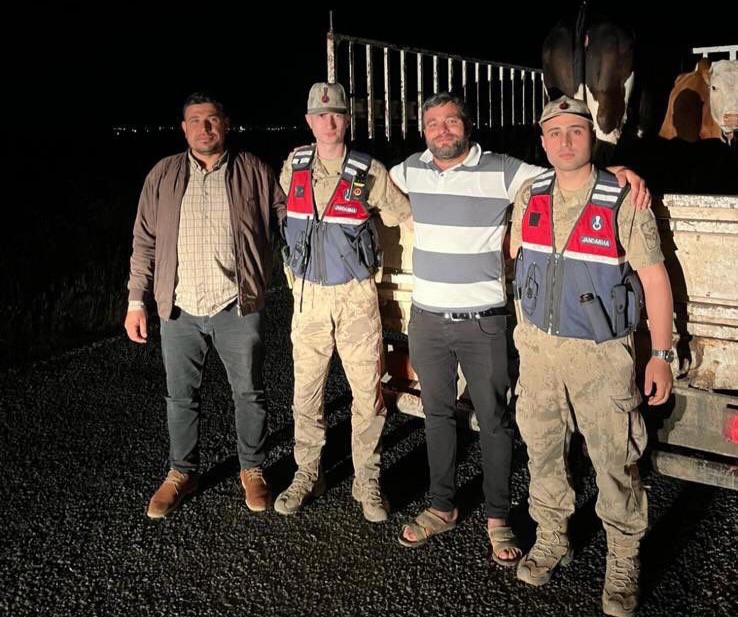  Adet Kayıp Büyükbaş Hayvan Bulunarak Sahibine Teslim Edildi