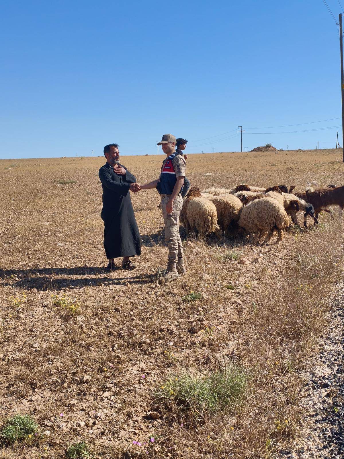 Drone Destekli Arama Sonuç Verdi: Kayıp 17 Küçükbaş Hayvan Bulundu