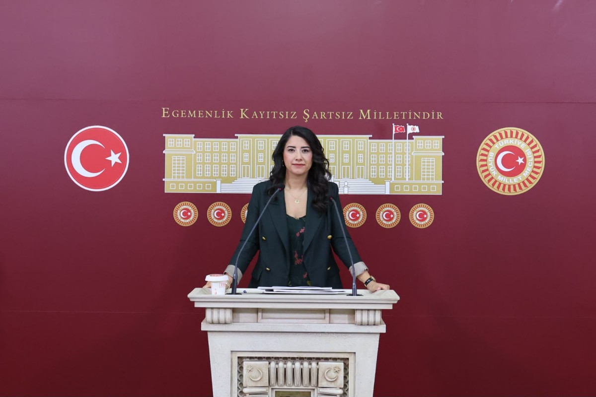 Dilan Kunt Ayan’dan Mehmet Akif İnan Hastanesi İddiaları İçin Soru Önergesi